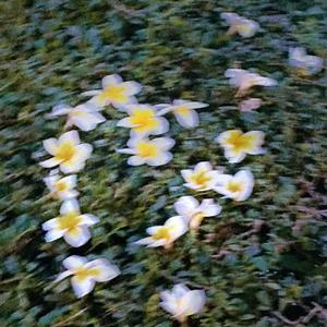 drink sadness（prod by GOKU）