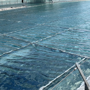 育もう (feat. 初音ミク)