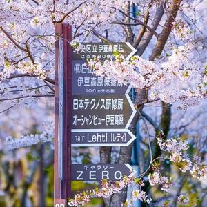 你要如何就如何