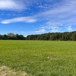 Jabroni (feat. Kacekid)