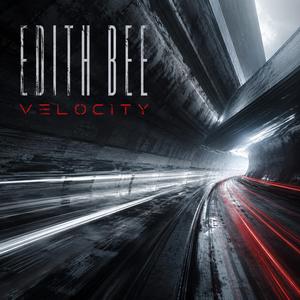 Velocity
