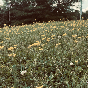 au (feat. FAIR MINDS)