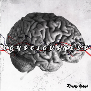 Consciousness
