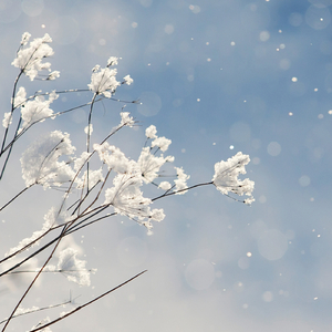 Silent Longing (Original Mix)