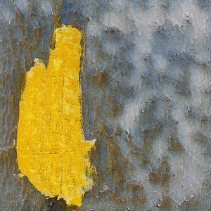 Сколько осталось ждать?