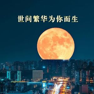 世间繁华为你而生