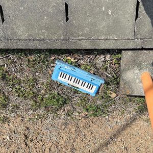 20240801光の方へ