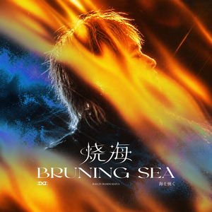 烧海