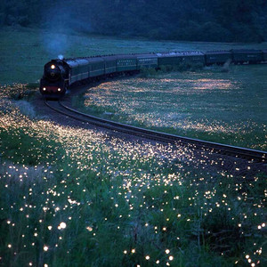 Светлячки не сжигают поезда