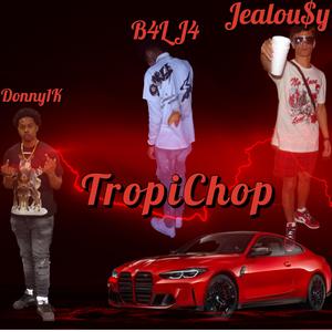 TropiChop