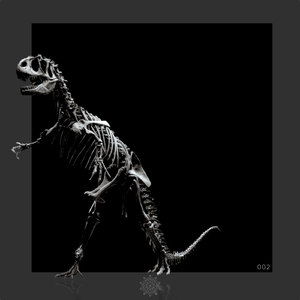 Hide Your Pain (Original Mix)