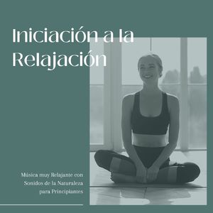 Dinámicas de Relajación