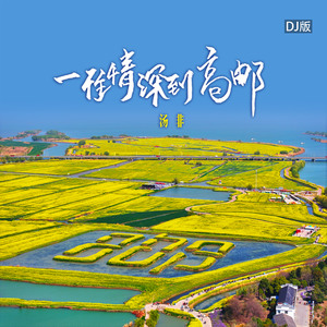 一往情深到高邮（DJ版）