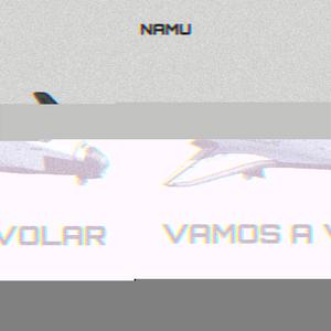 Vamos A Volar