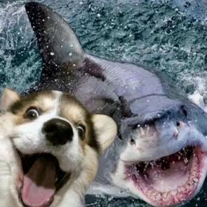 Turbotronic（ remix）