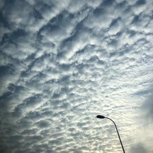 Myself（prod by XVIBE）