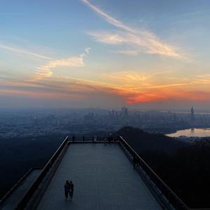 栽满桃树的老屋前