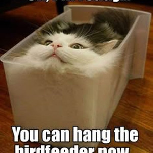 You Give Me Something (slowed)