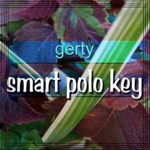farm car smart polo key
