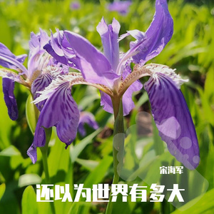 陪着我的时候想着他