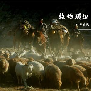 冬不拉回旋
