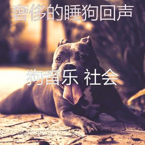 有趣训练犬情怀