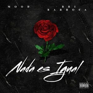 Nada Es Igual (feat. Bri Barbosa)