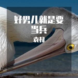 好男儿就是要当兵