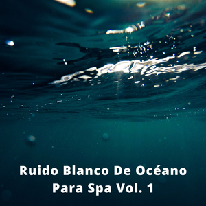 Meditación En La Costa