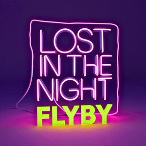 Lost in the Night