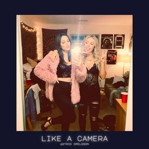 Like A Camera
