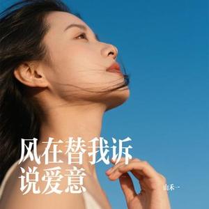 风在替我诉说爱意