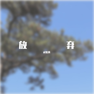 放弃