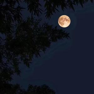 你还要我怎样（吉他结尾）