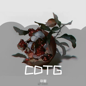 试探（Pro by LMstudio）