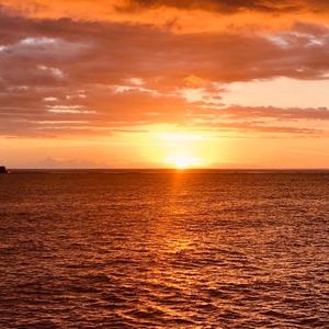 地球を美しく守る(World Peace Song)