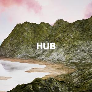 Hub