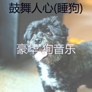 睡觉的小狗(鼓舞人心)