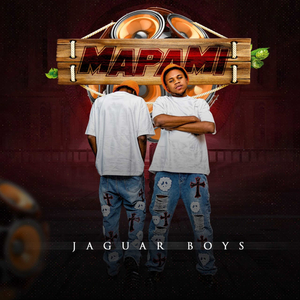 Mapami