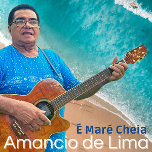 Malha Fina