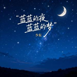 蓝蓝的夜蓝蓝的梦（纯音乐）