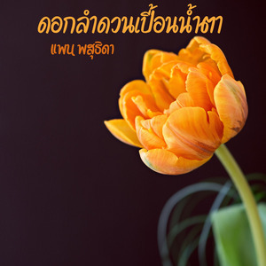 ดอกลำดวนเปื้อนน้ำตา