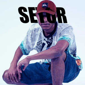 Setor