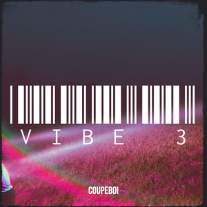 Vibe 3