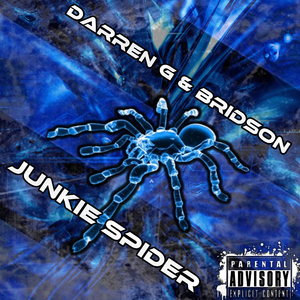 Junkie Spider (Original Mix)