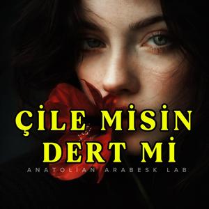 Çile Misin Dert Mi Gam Mı Keder Mi