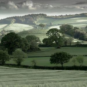 淋雨一直走（cover）