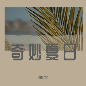 奇妙夏日