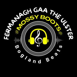 Fermanagh GAA (The Ulster)