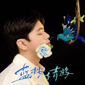 蓝桉与青鹧